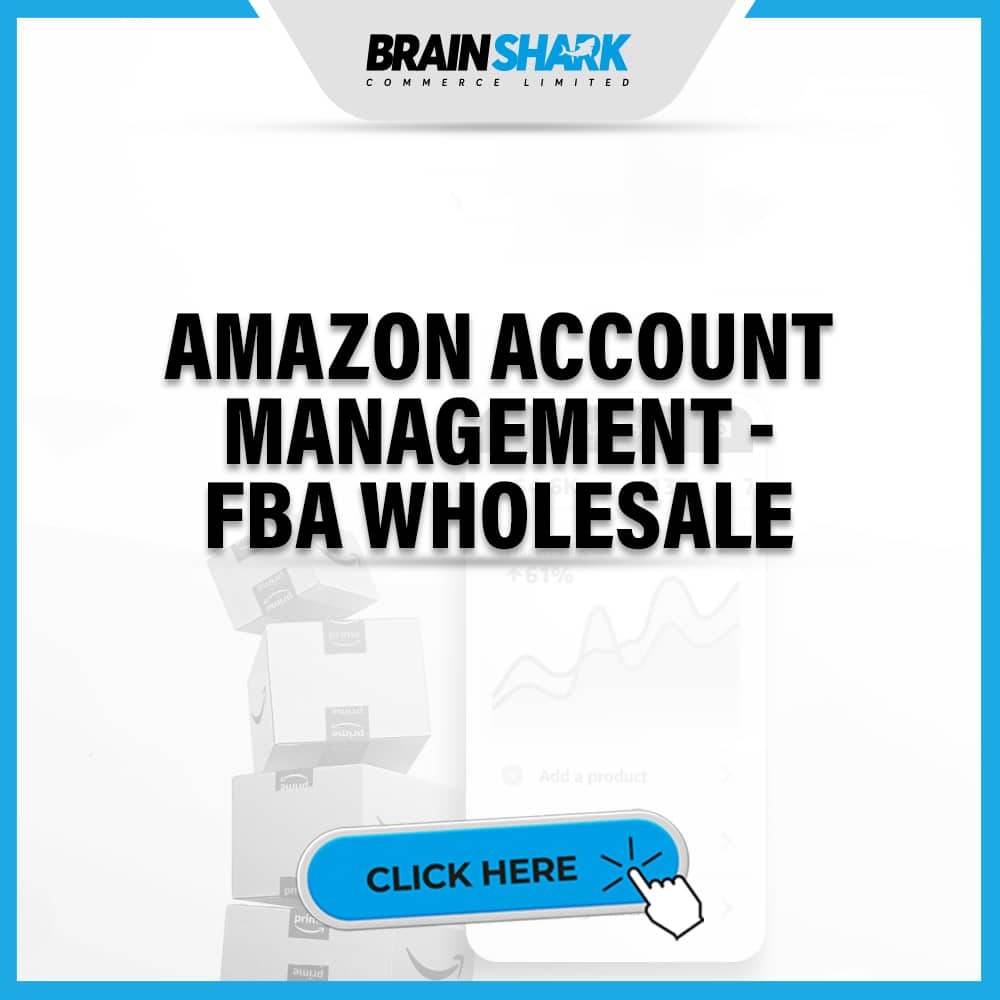 Amazon Account Management - FBA Wholesale
