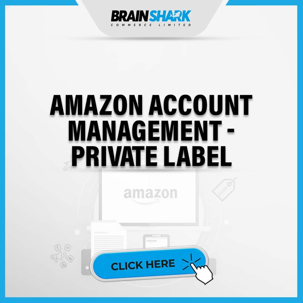 Amazon Account Management - Private Label