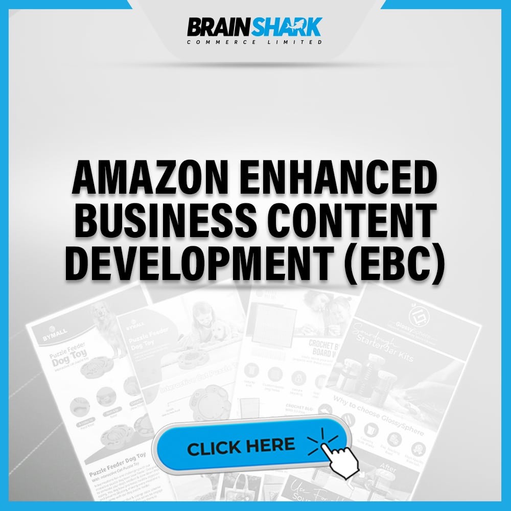 Amazon Enhanced Business Content Development (EBC)
