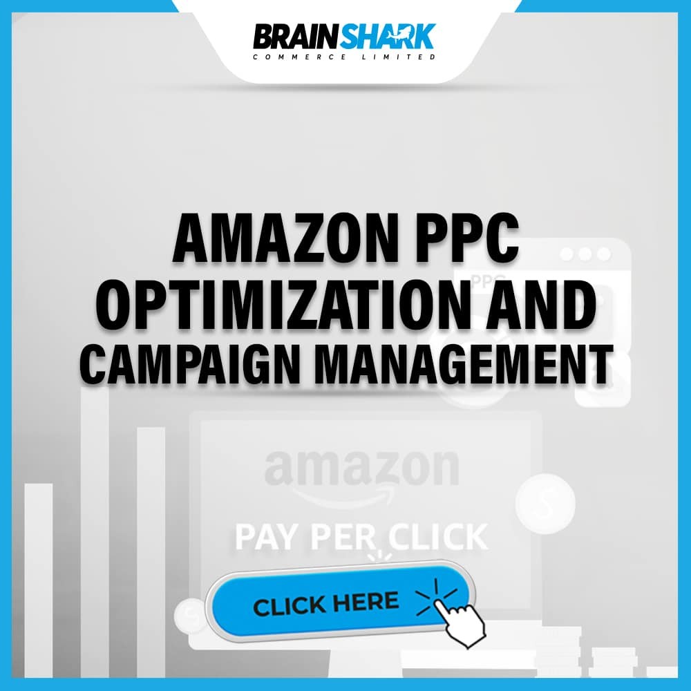 Amazon PPC Optimization and Campaign Management