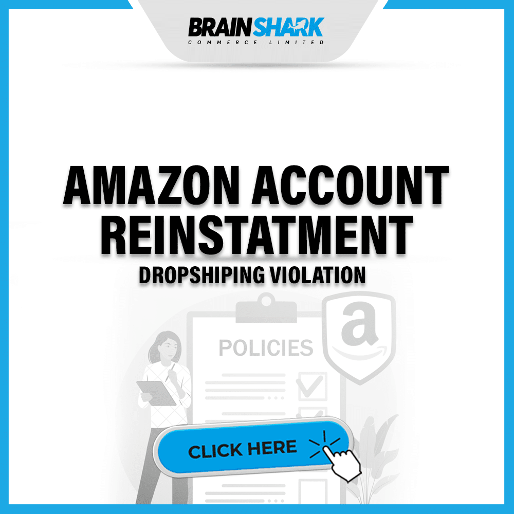 Amazon Account Reinstatement for Drop Shipping Violation
