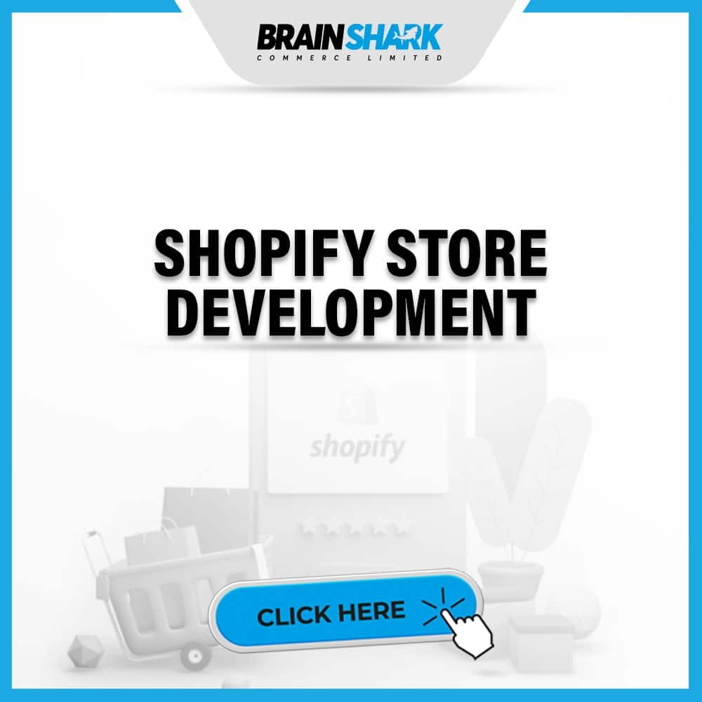 Shopify Store Development
