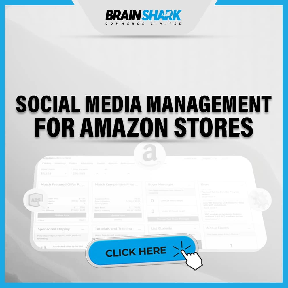 Social Media Management for Amazon Stores