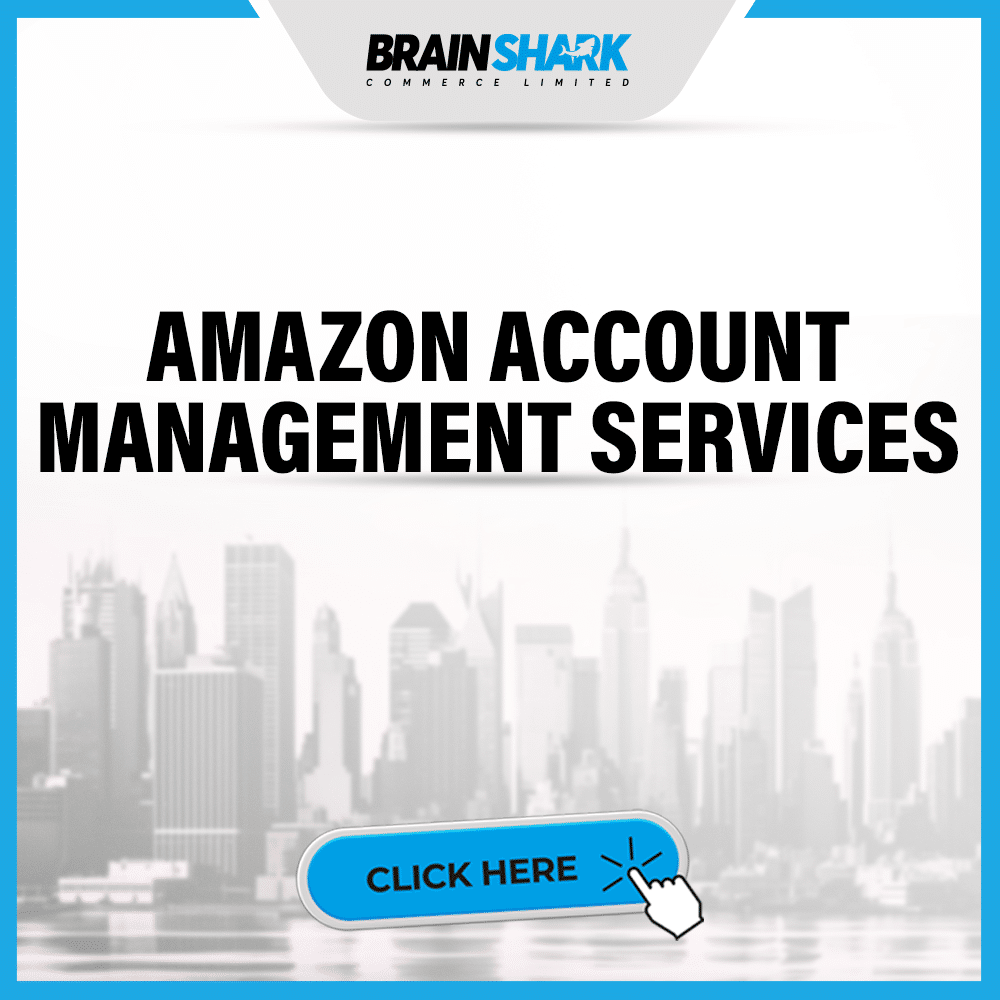 AMAZON ACCOUNT MANAGEMENT SERVICES