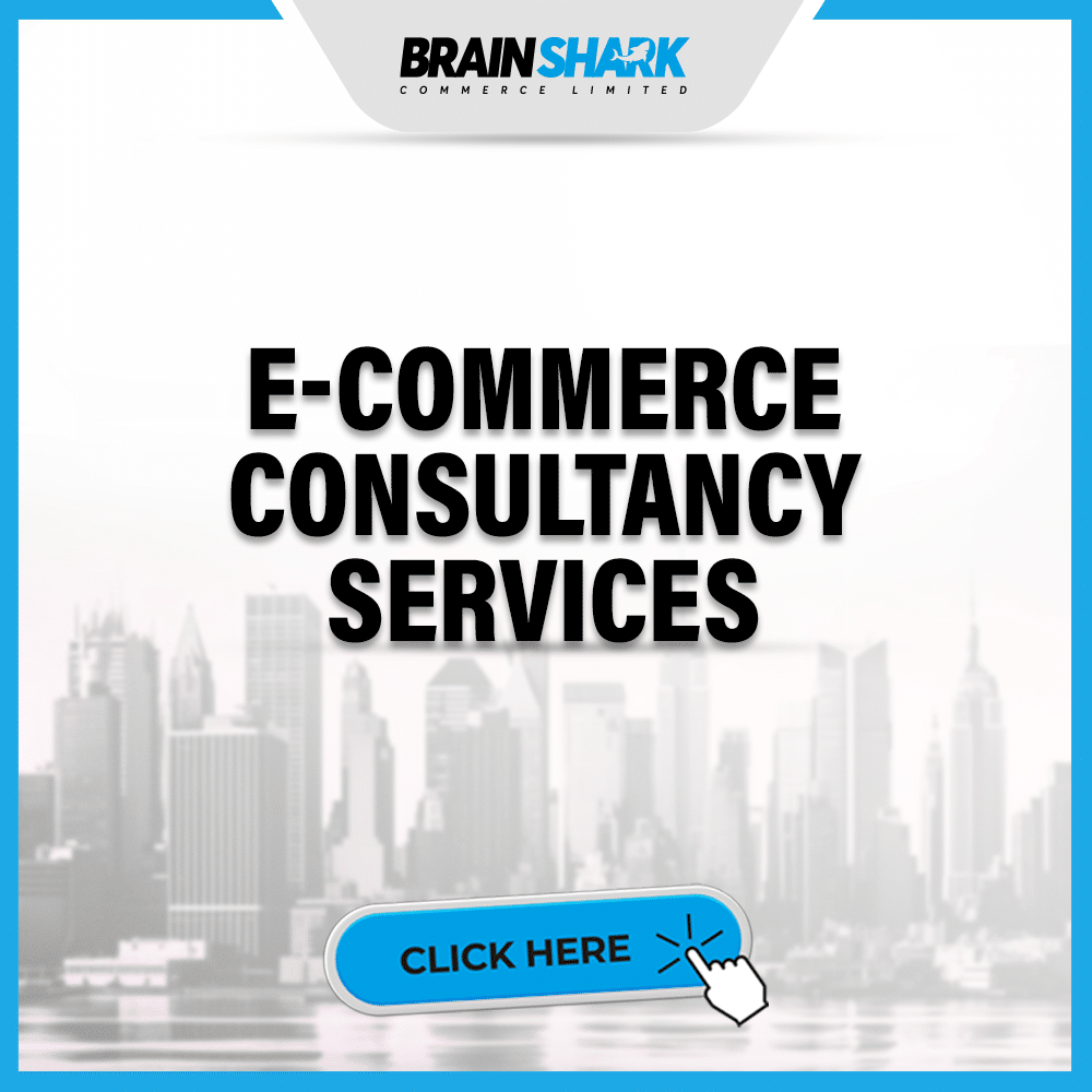 ECOMMERCE CONSULTANCY SERVICES