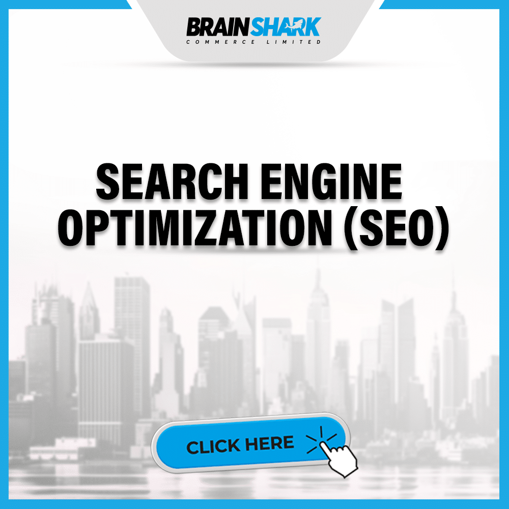 SEARCH ENGINE OPTIMIZATION (SEO)
