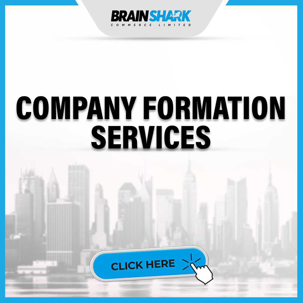 COMPANY FORMATION SERVICES