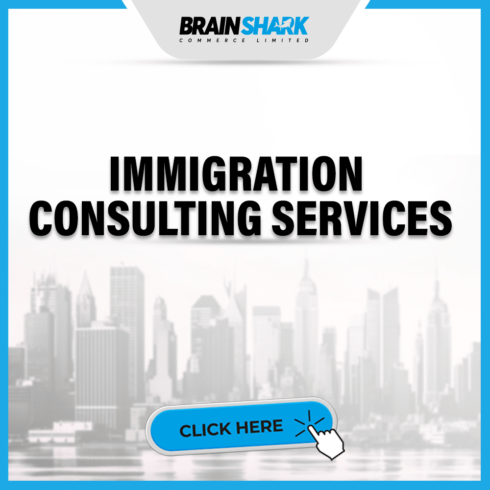 IMMIGRATION CONSULTING SERVICES